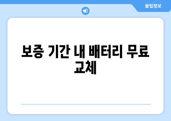 보증 기간 내 배터리 무료 교체