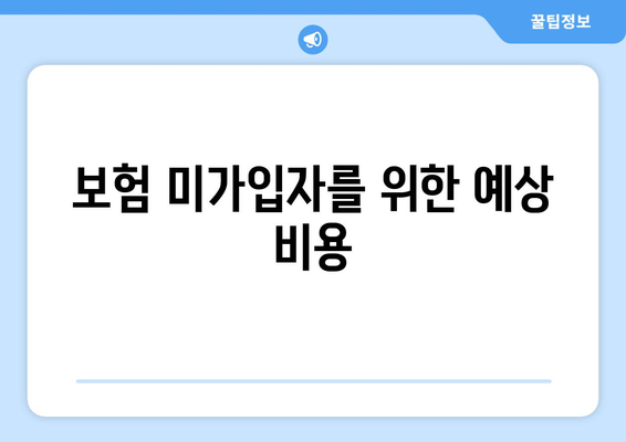 보험 미가입자를 위한 예상 비용