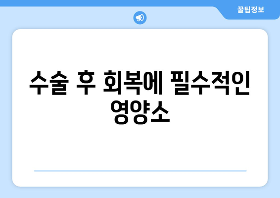 수술 후 회복에 필수적인 영양소