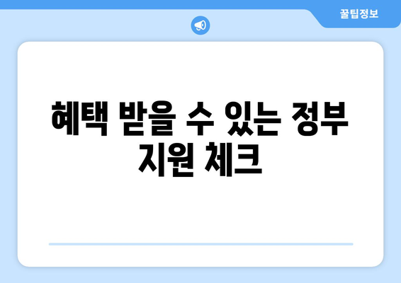 혜택 받을 수 있는 정부 지원 체크