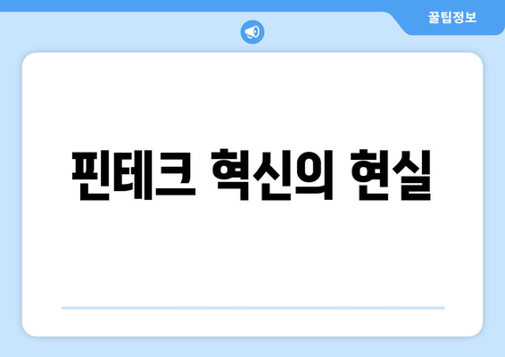 핀테크 혁신의 현실