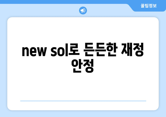 new sol로 든든한 재정 안정