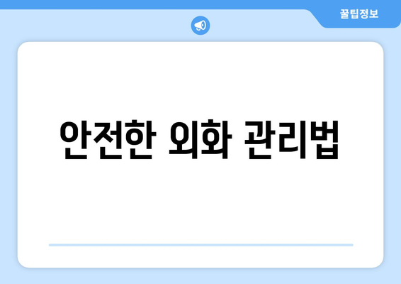 안전한 외화 관리법