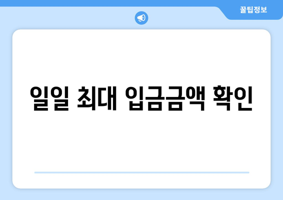 일일 최대 입금금액 확인