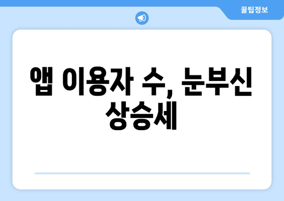 앱 이용자 수, 눈부신 상승세