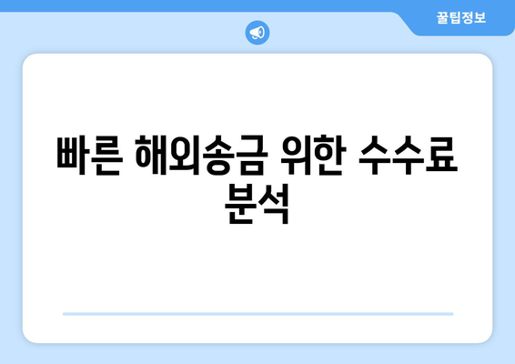 빠른 해외송금 위한 수수료 분석