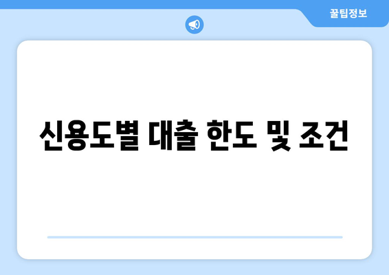 신용도별 대출 한도 및 조건