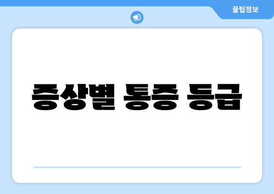 증상별 통증 등급