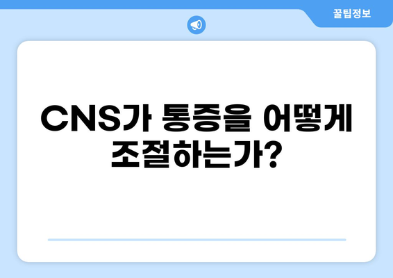 통증과 CNPS| 원인과 치료의 이해 | 통증 관리, 신경계, CNS, 통증 원리