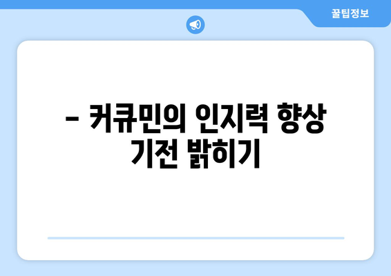 - 커큐민의 인지력 향상 기전 밝히기