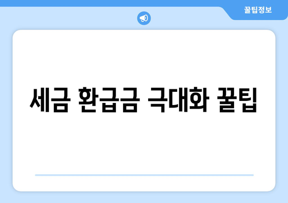 세금 환급금 극대화 꿀팁