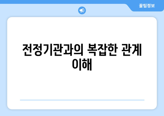 전정기관과의 복잡한 관계 이해