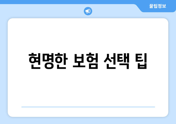 현명한 보험 선택 팁