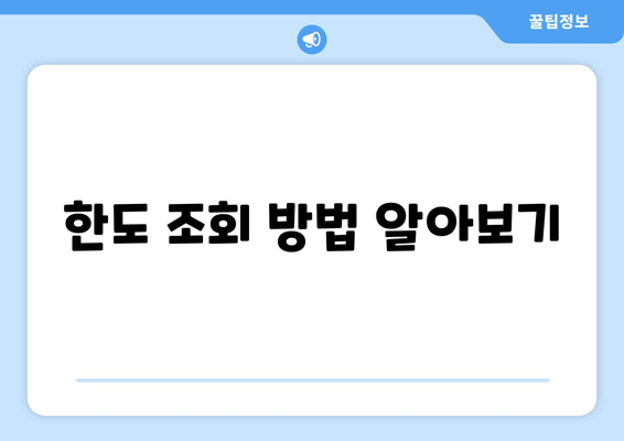 한도 조회 방법 알아보기