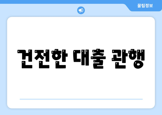 건전한 대출 관행