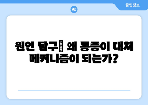 원인 탐구| 왜 통증이 대처 메커니즘이 되는가?