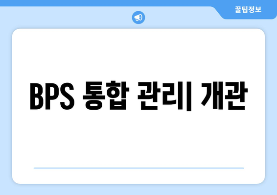 BPS 통합 관리| 개관
