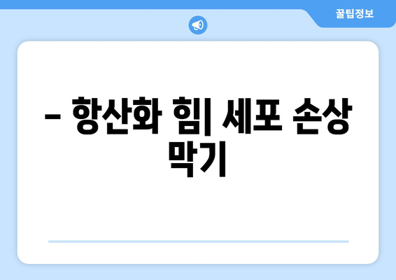 - 항산화 힘| 세포 손상 막기