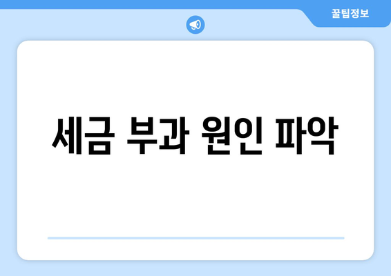세금 부과 원인 파악