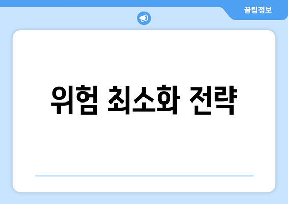 위험 최소화 전략