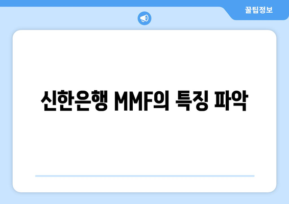 신한은행 MMF의 특징 파악