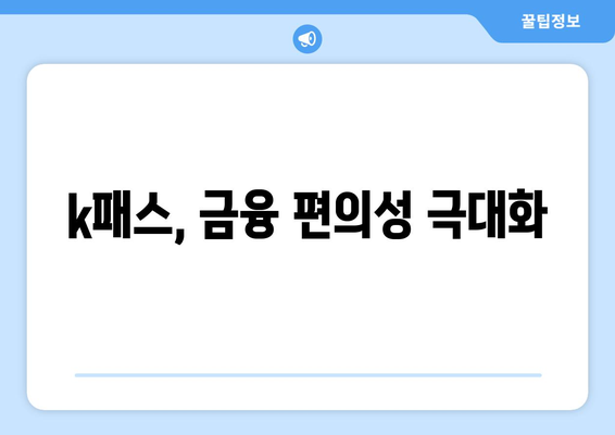 k패스, 금융 편의성 극대화