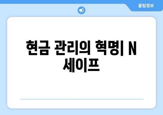 현금 관리의 혁명| N 세이프