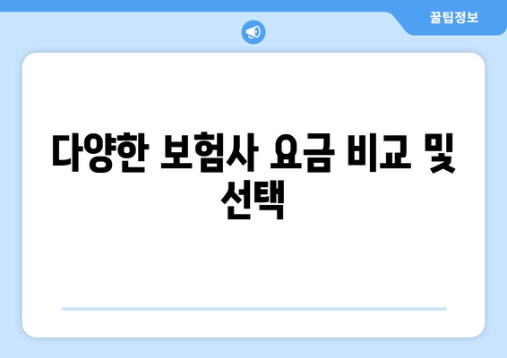 다양한 보험사 요금 비교 및 선택