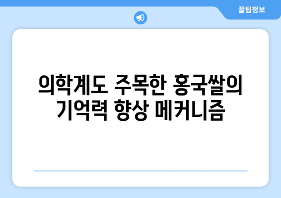 의학계도 주목한 홍국쌀의 기억력 향상 메커니즘