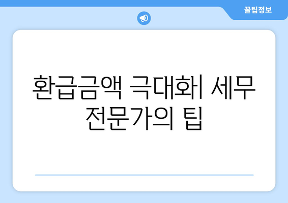 환급금액 극대화| 세무 전문가의 팁