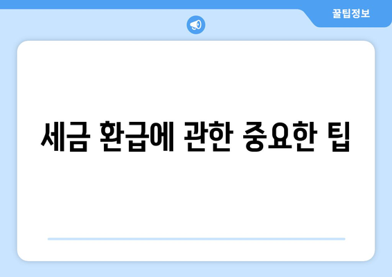 세금 환급에 관한 중요한 팁