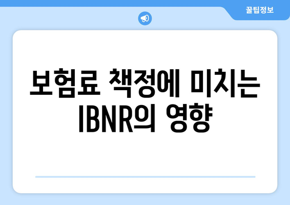 보험료 책정에 미치는 IBNR의 영향