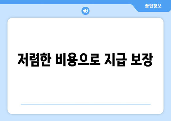 저렴한 비용으로 지급 보장