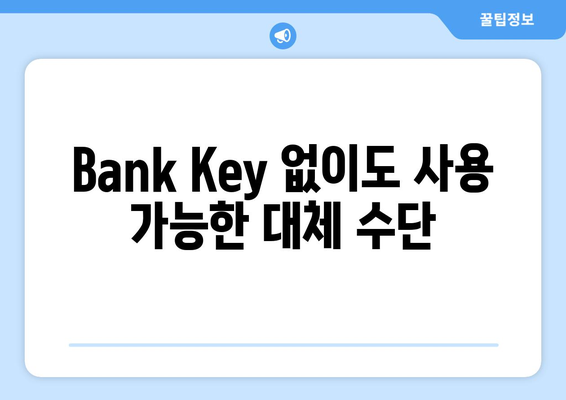 Bank Key 없이도 사용 가능한 대체 수단