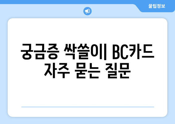 궁금증 싹쓸이| BC카드 자주 묻는 질문