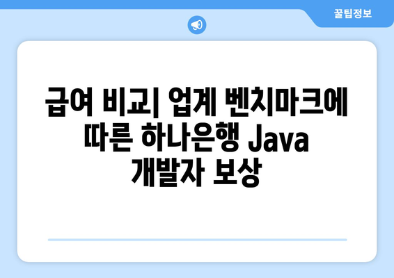 급여 비교| 업계 벤치마크에 따른 하나은행 Java 개발자 보상