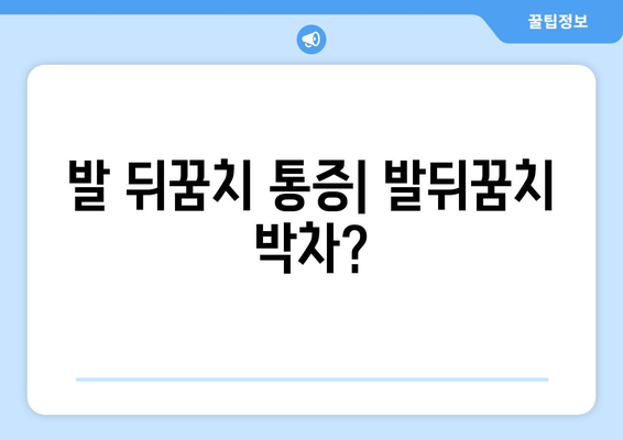 발 뒤꿈치 통증| 발뒤꿈치 박차?