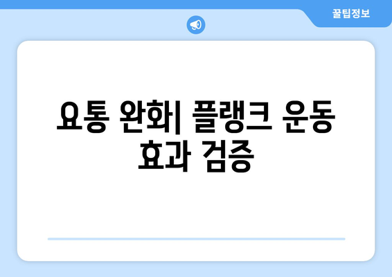 요통 완화| 플랭크 운동 효과 검증