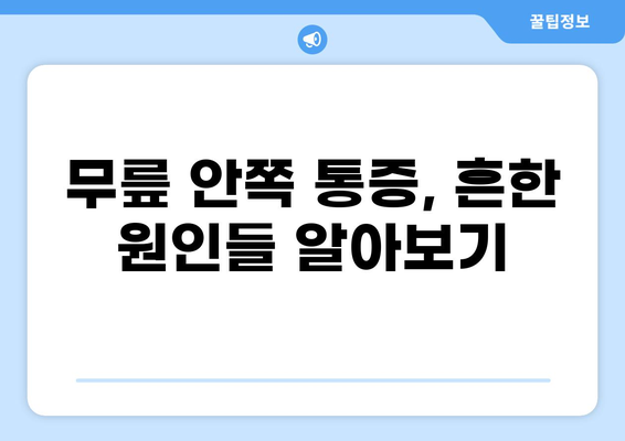 무릎 안쪽 통증의 원인| 무엇이 문제일까요? | 무릎 통증, 내측 통증, 진단, 치료