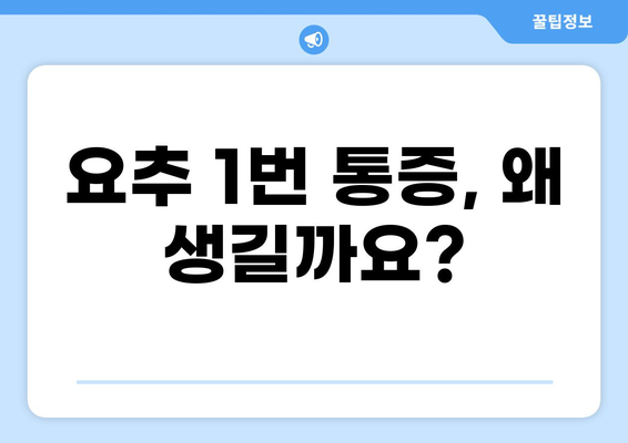 요추 1번 통증 원인과 해결책| 증상별 진단 및 관리 가이드 | 허리 통증, 요통, 척추 건강