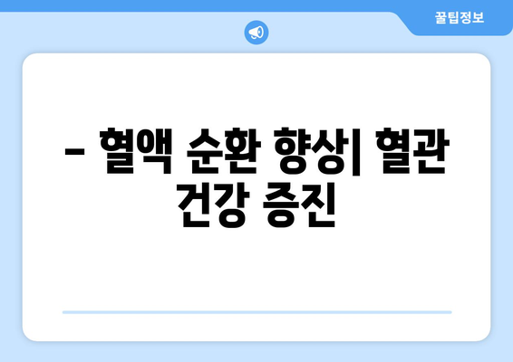 - 혈액 순환 향상| 혈관 건강 증진