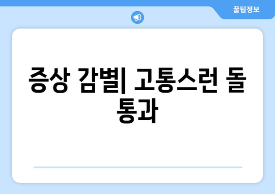 증상 감별| 고통스런 돌 통과