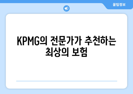 KPMG의 전문가가 추천하는 최상의 보험