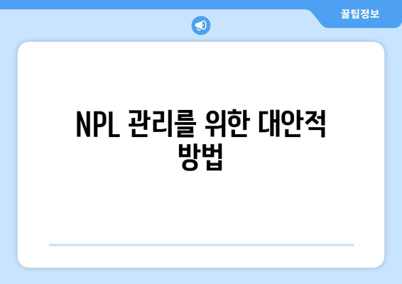NPL 관리를 위한 대안적 방법