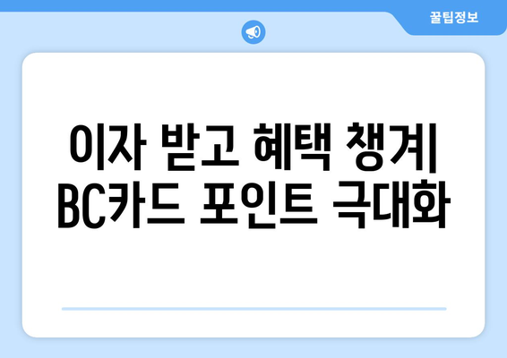 이자 받고 혜택 챙겨| BC카드 포인트 극대화