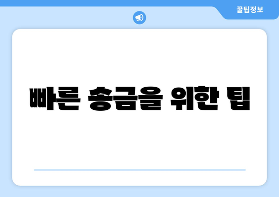 빠른 송금을 위한 팁