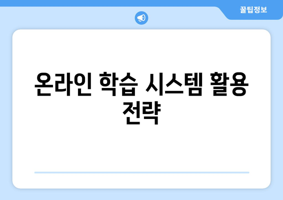 온라인 학습 시스템 활용 전략