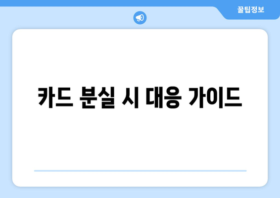 카드 분실 시 대응 가이드