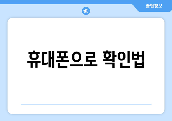 휴대폰으로 확인법