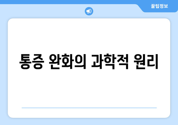 통증 완화의 과학적 원리